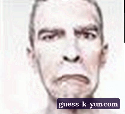 孙莉